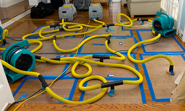 Professional Structural Drying And Dehumidification technician working in North Miami Beach, FL